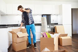 Domestic Removals Companies in SW1